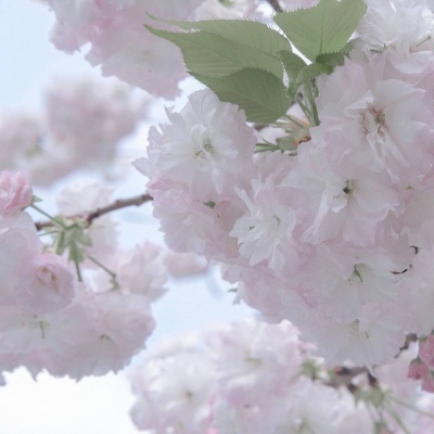 兽设星空场景创作兽圈社群